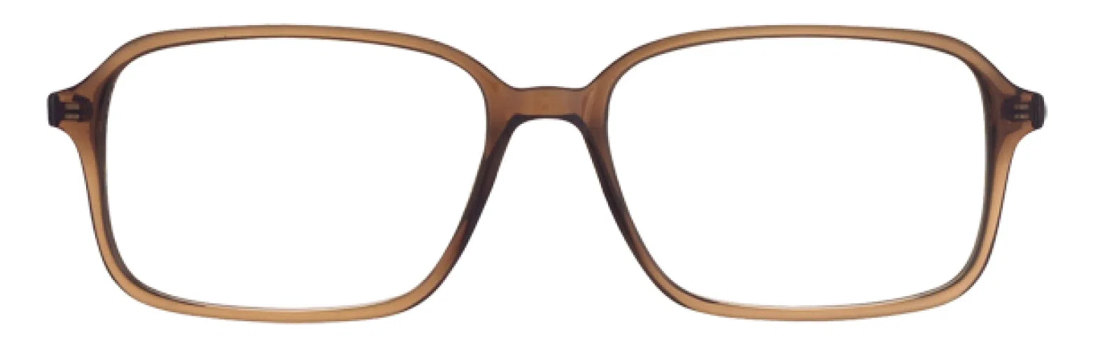 Stetson S310 Eyeglasses - view 16